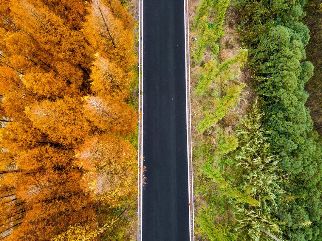 网红公路